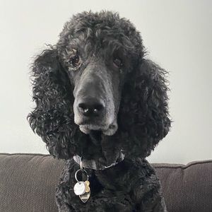 Meet your Posher, Renay